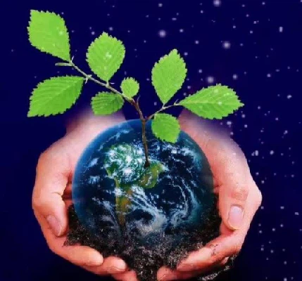 wood-based activated carbon wood-based activated carbon